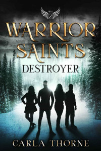 Carla Thorne [Thorne, Carla] — Warrior Saints - Destroyer