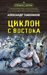 Александр Александрович Тамоников — Циклон с востока