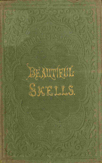 H. G. Adams — Beautiful shells