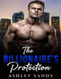 Ashley Sands — The Billionaire's Protection (The Possessive Billionaires Book 2)