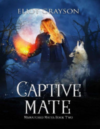 Eliot Grayson — Captive Mate (Mismatched Mates Book 2)