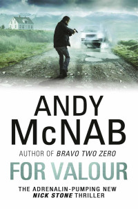 Andy McNab — For Valour