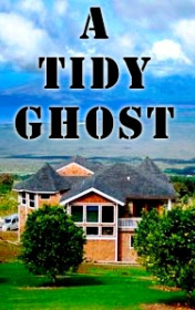 Peter Viney — A tidy ghost