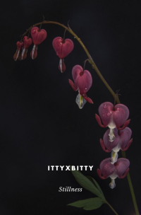 ittyxbitty — Stillness