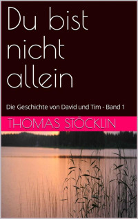 Thomas Stöcklin — Du bist nicht allein: Die Geschichte von David und Tim - Band 1