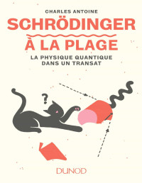 Antoine Charles — Schrödinger à la plage