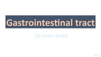 Iman Nabil — Gastrointestinal Tract
