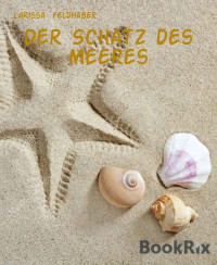 Larissa Feldhaber — Der Schatz des Meeres (German Edition)