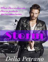 Delia Petrano [Petrano, Delia] — Storm (The Scorpion MC Series Book 3)