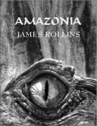 ROLLINS JAMES — Amazonia