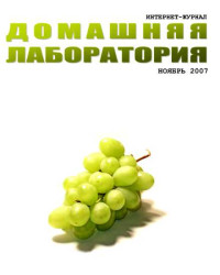 ☺ — Интернет-журнал "Домашняя лаборатория", 2007 №11