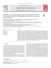 Jing Pan & Yuanmiao Sun & Peiling Deng & Fan Yang & Shenghua Chen & Qitao Zhou & Ho Seok Park & Hongfang Liu & Bao Yu Xia — Hierarchical and ultrathin copper nanosheets synthesized via galvanic replacement for selective electrocatalytic carbon dioxide conversion to carbon monoxide