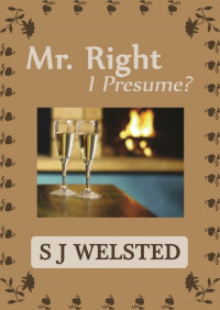 SJ Welsted — Mr Right I Presume?