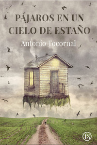 Antonio Tocornal — Pájaros en un cielo de estaño