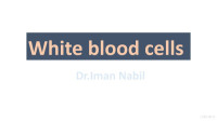 Iman Nabil — White blood cells