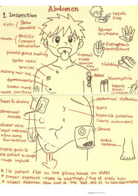 CamScanner — Clinical examination