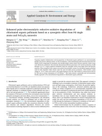 Mengxue Li — Enhanced pulse electrocatalytic reductive-oxidative degradation of chlorinated organic pollutants based on a synergistic effect from Pd single atoms and FeCo2O4 nanowire