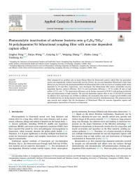 Linghui Peng — Photocatalytic inactivation of airborne bacteria onto g-C3N4/TiO2/Ni-polydopamine/Ni bifunctional coupling filter with non-size dependent capture effect