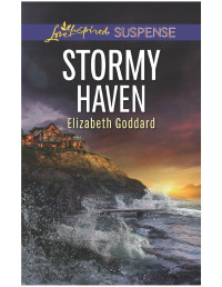 Elizabeth Goddard — Stormy Haven