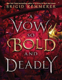 Brigid Kemmerer [Kemmerer, Brigid] — A Vow So Bold and Deadly