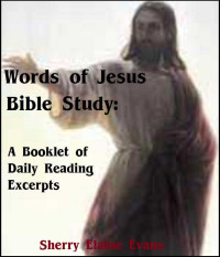 Sherry Elaine Evans [Evans, Sherry Elaine] — Words of Jesus Bible Study: (Booklet of Daily Reading Excerpts)