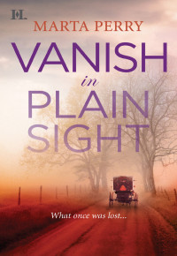 Marta Perry — Vanish in Plain Sight