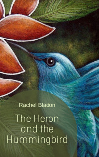 Rachel Bladon — The Heron and the Hummingbird