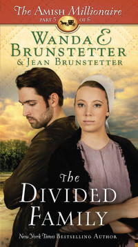 Wanda E. Brunstetter & Jean Brunstetter — The Divided Family: The Amish Millionaire Part 5 of 6