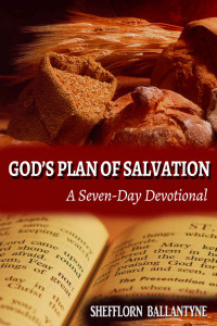 Shefflorn Ballantyne [Ballantyne, Shefflorn] — God's Plan Of Salvation