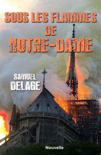 Samuel Delage — Sous les flammes de Notre-Dame