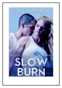 V. J. Chambers — Slow Burn (Assassins 1)