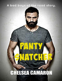 Chelsea Camaron [Camaron, Chelsea] — Panty Snatcher: A Bad Boys of the Road Story