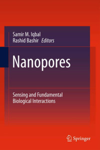 Samir M. Iqbal, Rashid Bashir — Nanopores