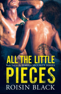Roisin Black [Black, Roisin] — All The Little Pieces: Book Two In A Navy SEAL Security Series Military Romance (Omega Security Series #2)