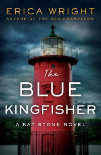 Erica Wright — The Blue Kingfisher (Kat Stone #3)