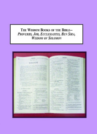 Unbekannt — Sean P Kealy Martin McNamara-The Wisdom Books of the Bible A Survey of the History of Their Interpretation-Edwin Mellen P