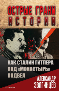 Александр Григорьевич Звягинцев — Как Сталин Гитлера под «Монастырь» подвел