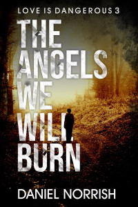 Daniel Norrish — The Angels We Will Burn: Love is Dangerous 3