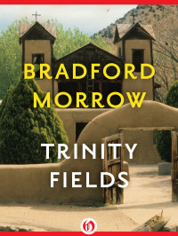 Bradford Morrow [Morrow, Bradford] — Trinity Fields