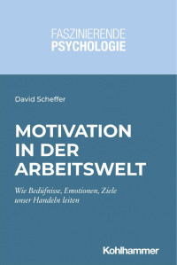 David Scheffer — Motivation in der Arbeitswelt