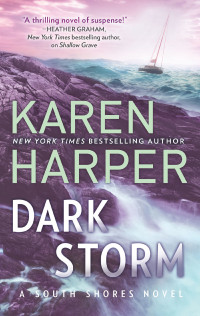Karen Harper [Harper, Karen] — Dark Storm (South Shores #6)