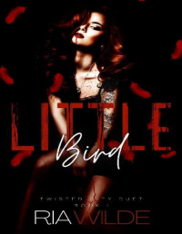 Ria Wilde — Little Bird: A Dark Enemies to Lovers Romance : Twisted City Duet Book 1