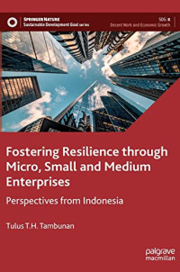 Tulus T.H. Tambunan — Fostering Resilience through Micro, Small and Medium Enterprises: Perspectives from Indonesia