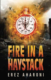 Erez Aharoni [Aharoni, Erez] — Fire in a Haystack: A Thrilling Novel (Legal Mystery Book Book 1)