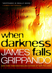 James Grippando — When Darkness Falls