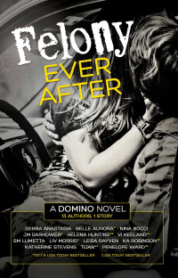 Helena Hunting & Debra Anastasia & Nina Bocci & Vi Keeland & Penelope Ward & Leisa Rayven & Liv Morris & Tijan & Jm Darhower & Belle Aurora & Ka Robinson & Sm Lumetta & Katherine Stevens — Felony Ever After