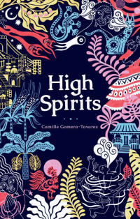 Camille Gomera-Tavarez — High Spirits: Short Stories on Dominican Diaspora