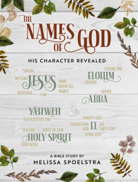 Spoelstra, Melissa; — The Names of God - Women's Bible Study Participant Workbook: His Character Revealed