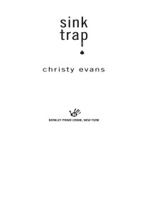 Evans Christy — Sink Trap