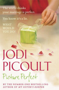 Jodi Picoult — Picture Perfect